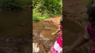 Beautiful Waterfall India #waterfall #journey #travelvlog