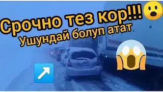 Срочна!!! Тез Кор!! Тоо Ашууда ушундай болуп атат!!!!