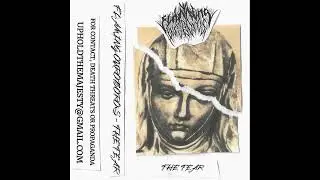 Flaming Ouroboros (US) - The Tear (Demo 2025)