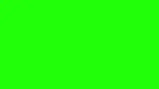 Camera flash green screen with sound effect (NO COPYRIGHT)
