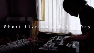 Short Live on a Rainy Day