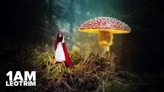 How to Create a Fantasy Mushroom Manipulation With Adobe Photoshop