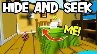 I Played HIDE AND SEEK in a GIANT Bedroom