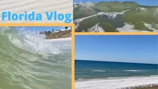 AMAZING FLORIDA Trip Vlog!