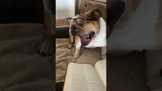 I didn’t know dogs could read…did you?!
