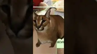 я знаю что написать