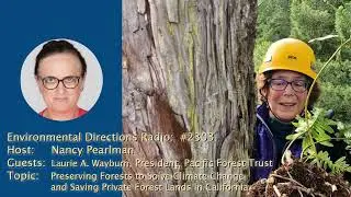 ED 2306 Laurie Wayburn—Preserve California Forests to Solve Climate Change