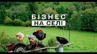 🧀Бізнес на селі. Випуск 1