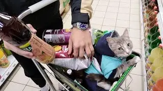 Мама приехала от подруги.Закупились немного вкусняшками с Мурчиком