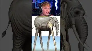 Proof We Weren’t Alone! 😨