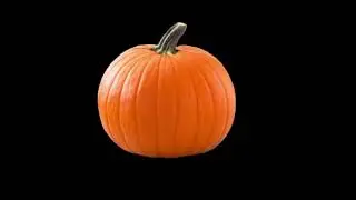 I Love Fall CVI adapted video
