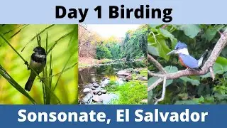 Birding El Salvador, Day 1