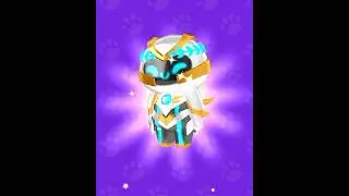 Making new Hermes Pet Ride✨🙈 