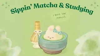 Sippin’ Matcha & Studying 🍵 | Lo-fi Chill Mix [1 Hour] with a timer