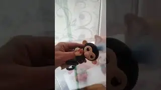 обезьянка Паша