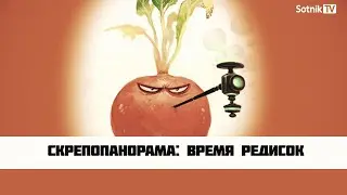 СКРЕПОПАНОРАМА: ВРЕМЯ РЕДИСОК