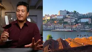 🇵🇹 The DOURO vs The DÃO 🇵🇹