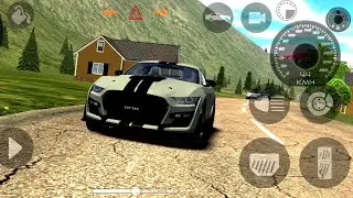 Mustang on Indian Road