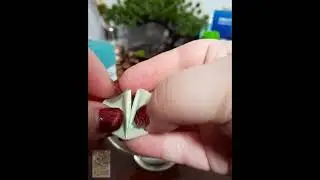 Криминал между холмов