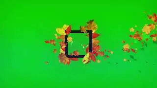 Flying Leaf with Frame, Green screen video 