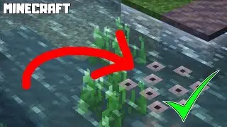 MINECRAFT | How to Get FROGSPAWN