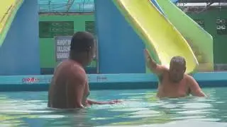 Pool Fever
