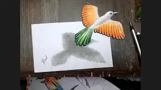 How to draw 3d drawings | Online step by step learning class details