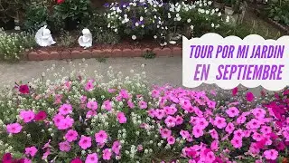 TOUR POR MI JARDÍN EN SEPTIEMBRE
