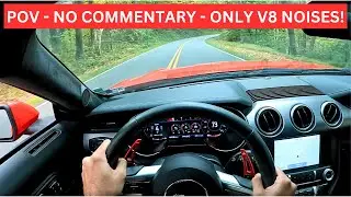 *LOUD* 2019 Mustang GT With CORSA EXTREME Takes On The CANYONS!