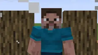 I.. Am Steve! | Short Lazy Animation