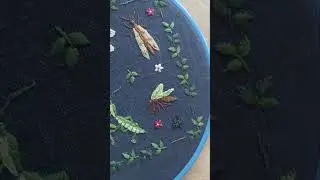 Большой семплер НАСЕКОМЫЕ