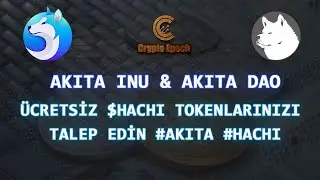 Akita Inu & Akita Dao İncelemesi - 🚀🔥 