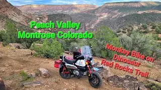 Monkey Bike on Dinosaur Trail in Peach Valley Colorado