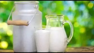 Difference between indian cow milk and western cow milk
