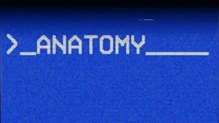ANATOMY