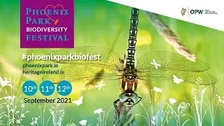 Phoenix Park -The Green lung of Dublin and Biodiversity Haven.