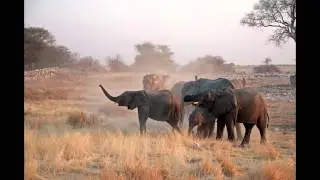 Erin Introduces her sponsorship of PBS' Nature