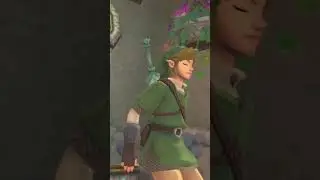 Link needs to use the toilet 