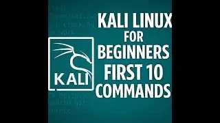 Kali Linux Commands: What Should Beginners Master First?