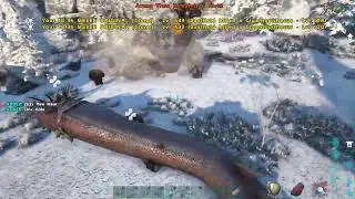 fjordur easy boss fight glitch