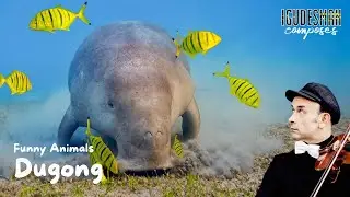 Dugong - by Aleksey Igudesman