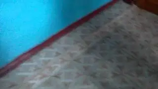 Проверка телефона на прочность