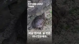과거엔 애완용 지금은 생태교란종?