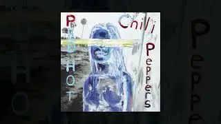 Red Hot Chili Peppers - Can't Stop [Custom Instrumental with backing vocals]