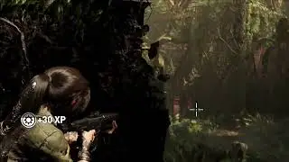 My Video5