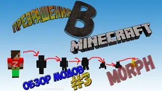 Обзор модов #3(Morph)