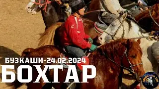 Бузкаши 24.02.2024 ш.Бохтар