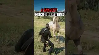 4 BRAVEST Horse Locations - RDR 2 