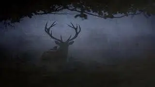 LUTO ✧ The Mist / Farewell