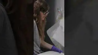 Philly Creatives at Work: Becky Suss